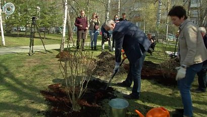 В Новосибирске прошла международная акция "Сад памяти"