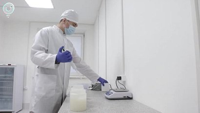 Инновационный препарат для борьбы с любым вирусным заболеванием разработали новосибирские учёные
