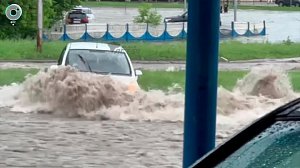 Последствия грозы и шквалистого ветра устраняют в Новосибирской области