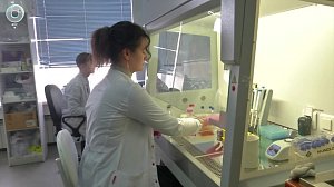 Новые методы лечения рака крови разрабатывают в Новосибирске