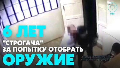 Сибиряк пытавшийся похитить оружие у транспортных полицейских отсидит 6 лет | Главные новости дня