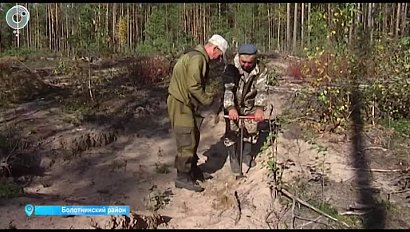 Новосибирские лесничества получили новую технику. Как восстанавливают популяцию деревьев?