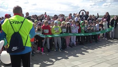 Больше трёх тысяч участников собрал "Зелёный марафон" в Новосибирске