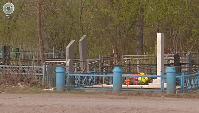 Кладбища Новосибирской области обработают о клещей. Когда на погостах станет безопасно?