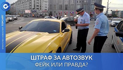 Будут ли штрафовать за дополнительные колонки в авто?