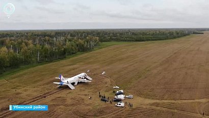 Пассажирский самолёт совершил аварийную посадку в поле под Новосибирском