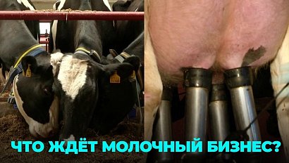 Будущее молочного животноводства обсудили на форуме в Сибири