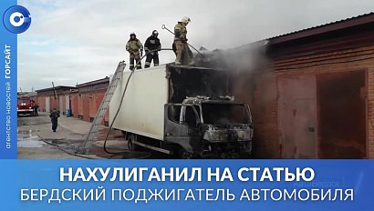Из хулиганских побуждений: бердчанин поджёг грузовик