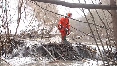 В Новосибирске расчищают русла малых рек перед паводком. Кто мешает коммунальщикам и спасателям?