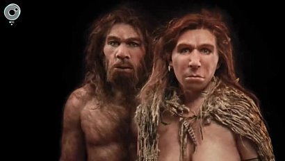 Новосибирские учёные восстановили ДНК неандертальцев