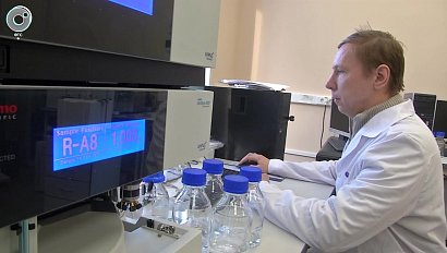 Новосибирские учёные расшифровали белок-восстановитель клеток