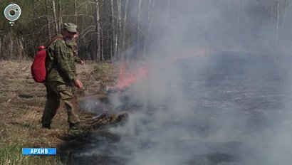 Количество природных пожаров в Сибирском федеральном округе удалось сократить в два раза