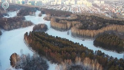Лесопарк в Краснообске получил статус особо охраняемой природной территории