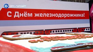 Праздник в Заельцовском парке: День железнодорожника отметили с размахом