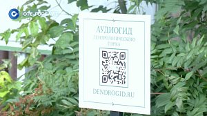 Аудиогид в новосибирском дендропарке: экскурсии без экскурсовода