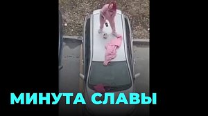 Кураж обернулся полицейским расследованием