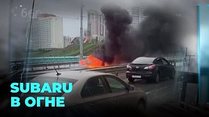 Subaru Forester стал причиной огромной пробки