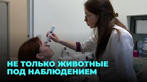 Мобильная диспансеризация в зоопарке: врачи борются с гипертонией