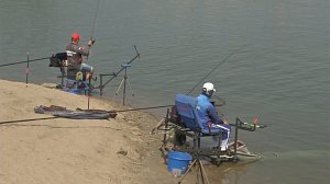 Фестиваль «День Оби» пройдёт в Новосибирске 25–27 июля