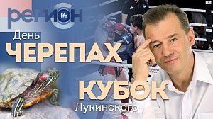 Регион LIFE | День черепахи / Кубок Лукинского | ОТС LIVE — прямая трансляция