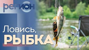 Регион LIFE | Ловись, рыбка | ОТС LIVE — прямая трансляция