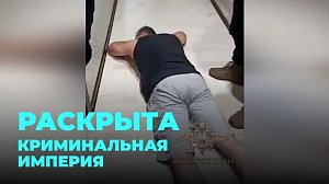 Злоумышленники зарабатывали на лжематерях и социальных выплатах