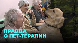 Еноты и собаки — лучшие терапевты для людей с ментальными особенностями