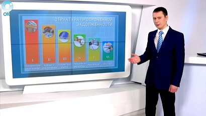 Каждый пятый заём в Новосибирской области имеет просроченную задолженность