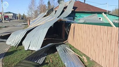 Губернатор Новосибирской области поручил оперативно помочь пострадавшим от урагана