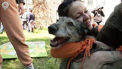 Программа "Научная среда" | 04 июня 2025 | Телеканал ОТС