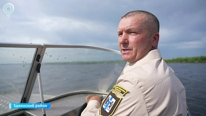 Численность диких птиц в Здвинском районе скоро удвоится