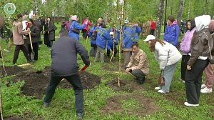 Новосибирцы высадили деревья в сквере Героев Донбасса в память о защитниках Родины