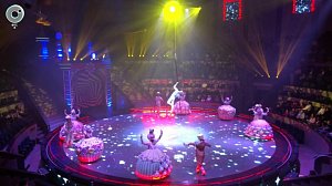 Новосибирский цирк исполняет мечты зрителей