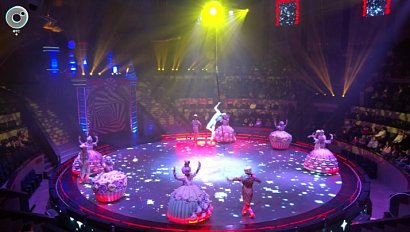 Новосибирский цирк исполняет мечты зрителей