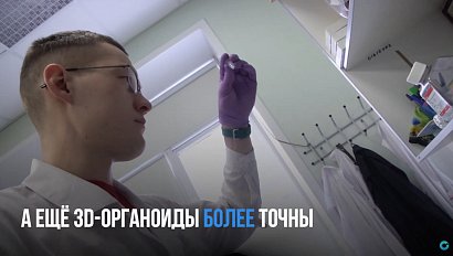 Победить рак поможет открытие учёных | Программа «Научная среда»