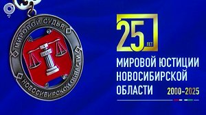 Юбилей системы мировой юстиции отметили в Новосибирской области