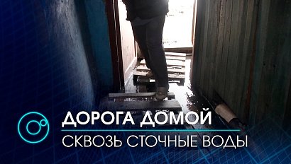 Канализацией затопило двор и подъезды в селе Сокур Мошковского района