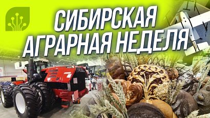 Агропром / Будущее сибирского села | СТРИМ ОТС LIVE — 5 ноября
