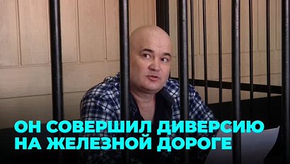 Диверсант пойман и будет наказан! Ему вменяют сразу несколько серьёзных уголовных статей