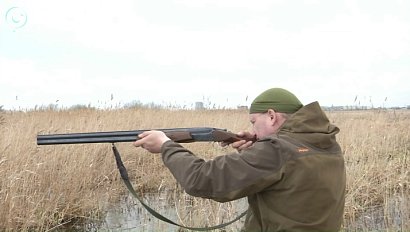 Эксперимент с выдачей электронных разрешений на охоту в Новосибирской области признан успешным