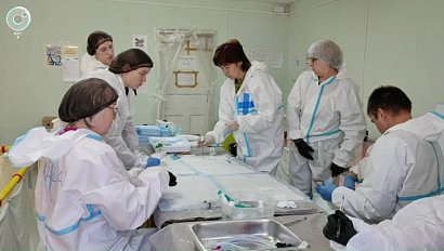 Новосибирские волонтёры помогают птицам на Черноморском побережье