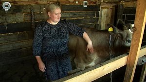 Жители Новосибирской области получают поддержку от государства для развития семейных ферм