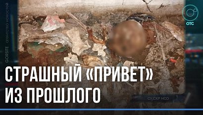 Мог пролежать 18 лет: в подвале многоэтажки в Новосибирске нашли останки человека