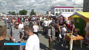 Здвинская ярмарка собрала гостей и удивила масштабом