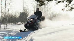 Популяция копытных животных увеличивается в Новосибирской области
