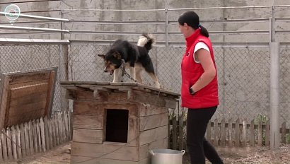 НОВОСТИ УТРА – 27 июня 2025