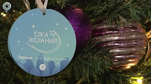 Акция "Ёлка желаний" стартовала по всей стране