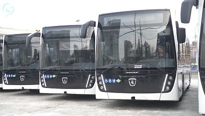Новосибирск пополнил парк пассажирского транспорта. Сколько новых автобусов прибудет в мегаполис?