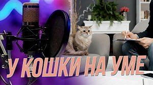 Исследуем психологию кошек вместе со специалистом | Подкаст на ОТС — 15 января