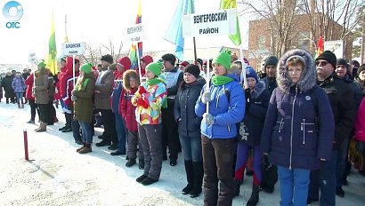 Программа "Спортивная губерния": 19 марта 2016